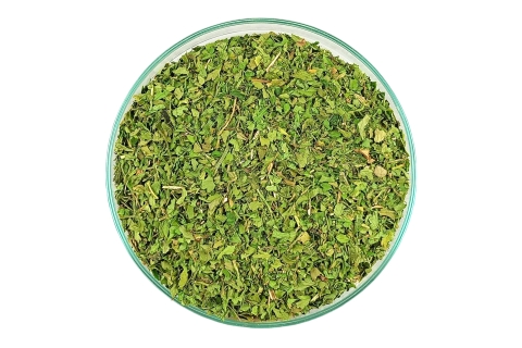 Kolendra Suszona Liść